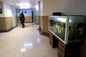 بیمارستان رفیده